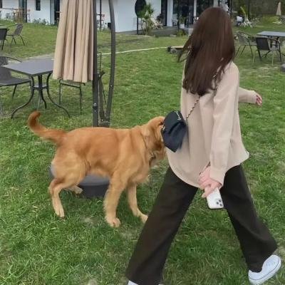 被指控的女人